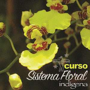 Curso Sistema Floral Indígena
