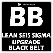 Upgrade Black Belt Lean Seis Sigma