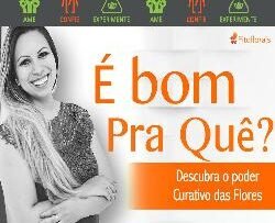 Curso Express Fitoflorais