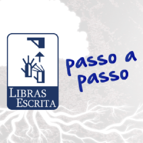 Curso Libras Escrita Passo a Passo Completo