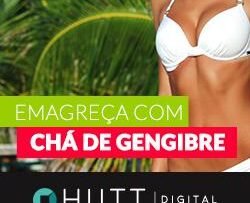 E-book - 50 Receitas com Gengibre