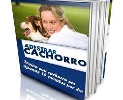 Adestrar Cachorro - Como Educar Seu Cão