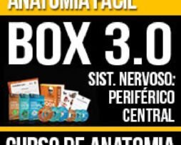 comprar o Box Anatomia Fácil
