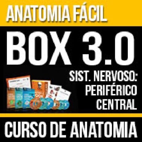 comprar o Box Anatomia Fácil