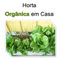 Horta Orgânica em Casa