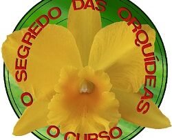 O Segredo das Orquídeas - O Curso
