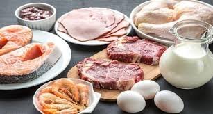 Guia Dieta Cetogênica Compras Digitais Dicas de Cursos