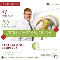 SISTEMA CRÂNIO-ORO-CERVICAL - Relação postural entre Cabeça, Tronco e Membros Compras Digitais Dicas de Cursos