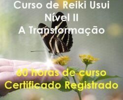 Curso de Reiki Usui Nível II - A Transformação