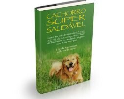 Dieta do Cachorro de 29 Anos