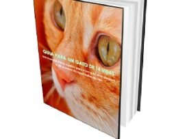 Guia Para um Gato de 14 Vidas