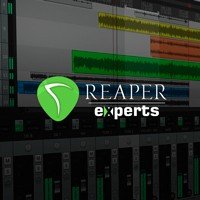 Reaper Experts