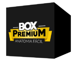 Box Premium