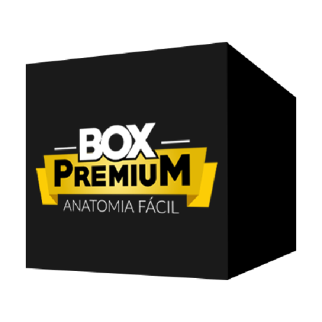 Box Premium