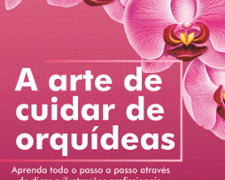 A arte de cuidar de orquídeas