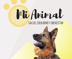 Mi Animal Salud, Equilibrio y Bienestar