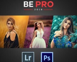 Workshop BE PRO Online 2018