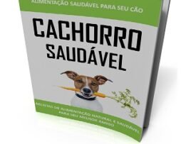 Cachorro Saudável