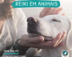 Curso online Reiki em Animais