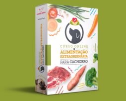 Alimentação Extraordinária Para Cachorro