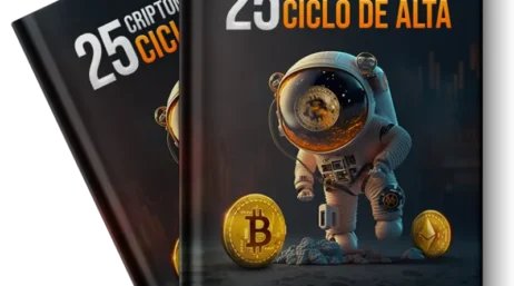 Relatório smart 25 criptomoedas para o ciclo de alta ( investidor smart) PDF