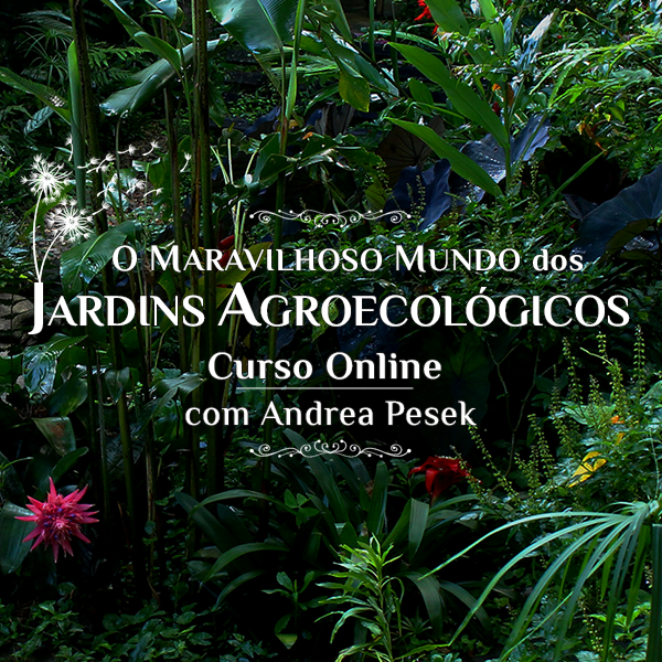 Jardins Agroecológicos por Andrea Pesek 1 https://www.comprasdigitais.com.br/jardins-agroecologicos-por-andrea-pesek/ Jardins Agroecológicos por Andrea Pesek Compras Digitais Dicas de Cursos