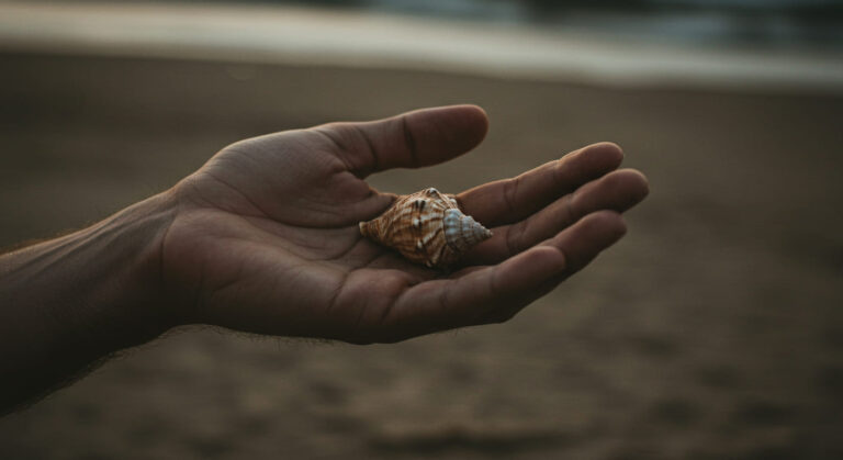 Curso Leitura Dinâmica – Metaleitura (LDE): Aumente Seu Potencial de Leitura e Compreensão