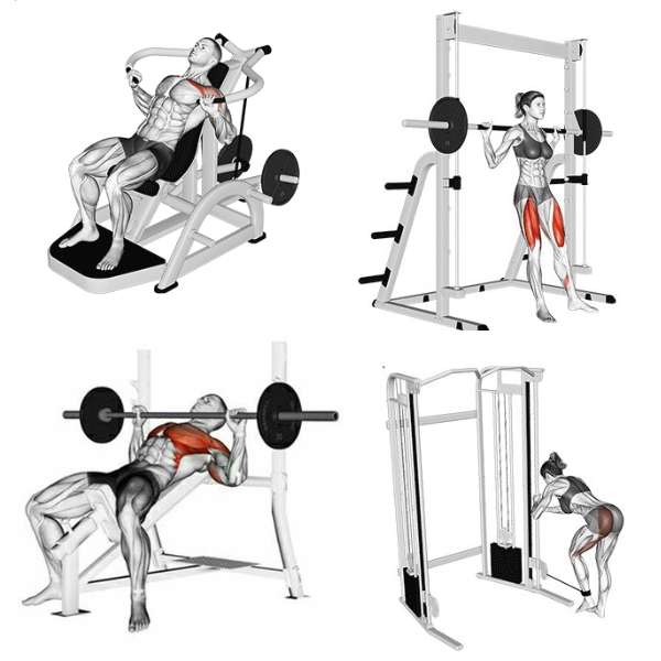 Planilhas de Treino Personalizadas: O Guia Completo para Quem Busca Superar Seus Limites