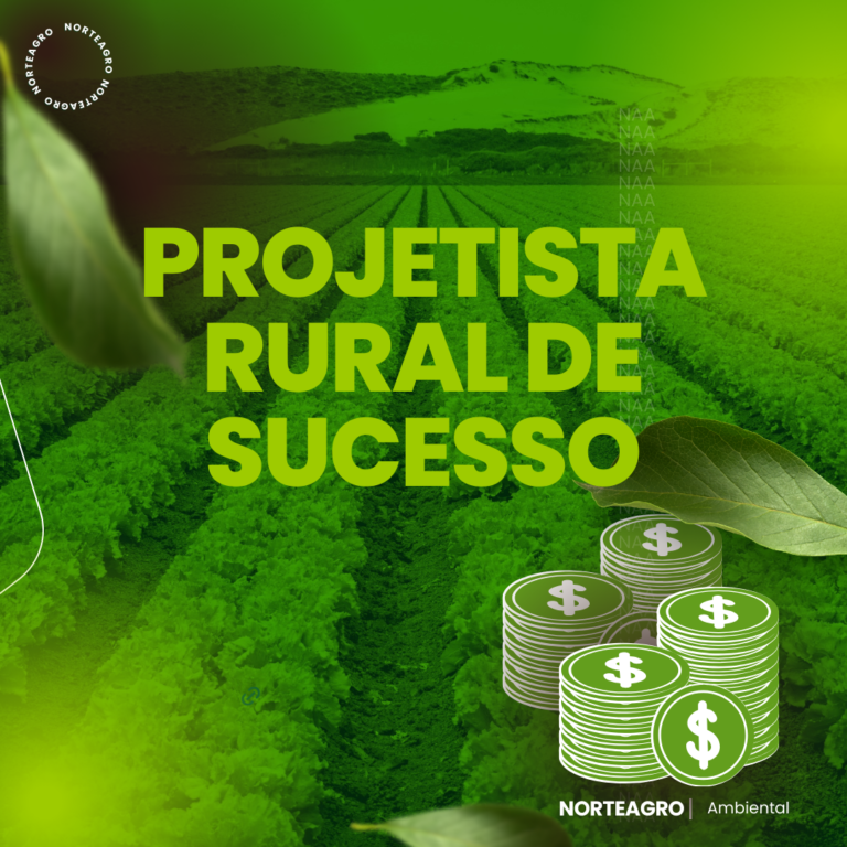 PROJETISTA RURAL DE SUCESSO 6 https://www.comprasdigitais.com.br/page/390/ PROJETISTA RURAL DE SUCESSO