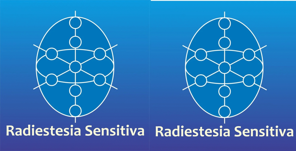 image-51-1024x522 Radiestesia Sensitiva