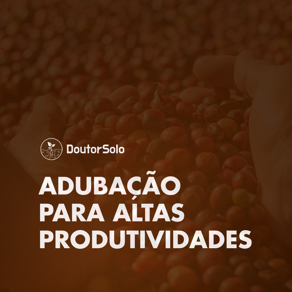 Doutor Solo: Adubação para Altas Produtividades no Café 1 image 16