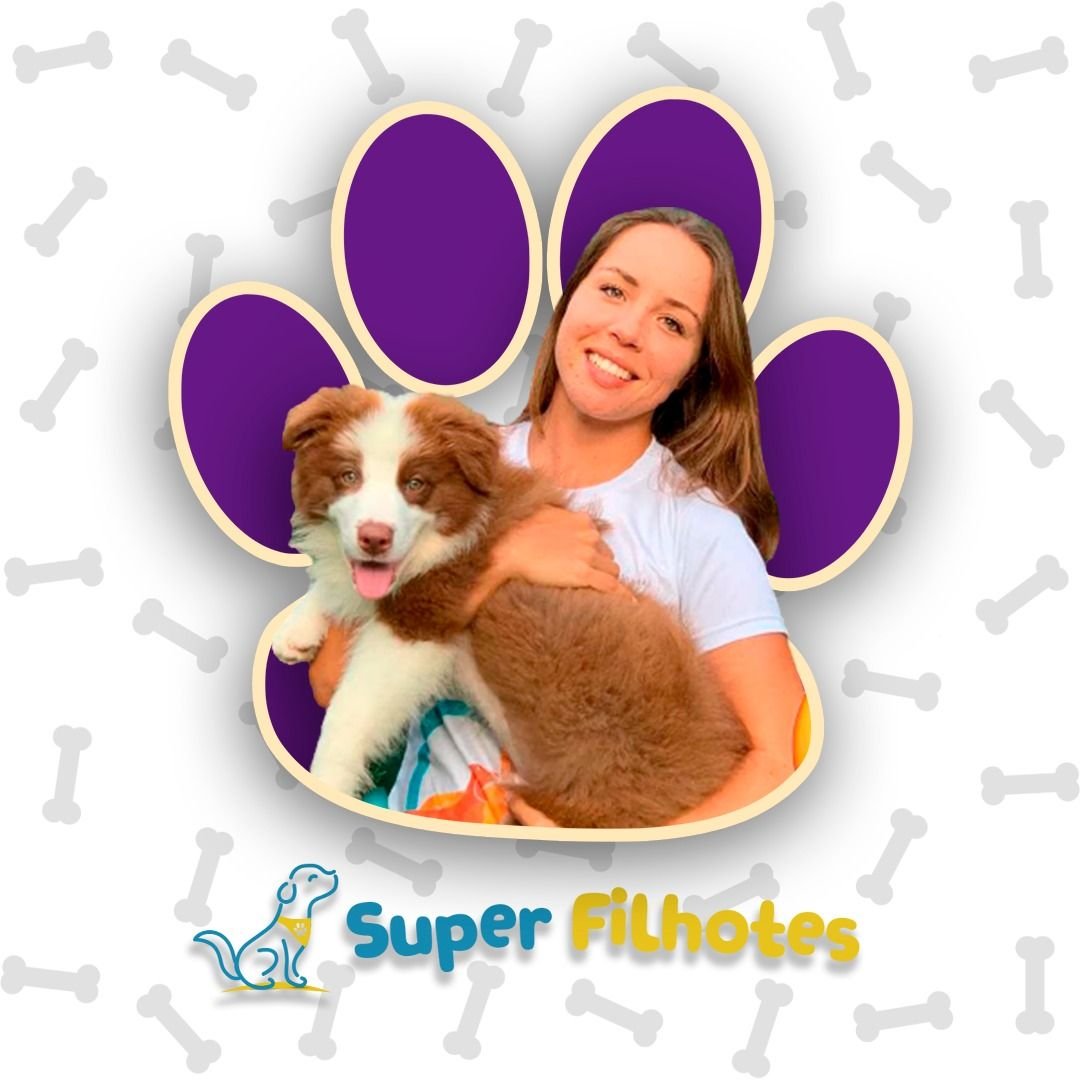 Super Filhotes – Marina Volanski: O segredo para acabar com o caos das mordidas e do xixi fora do lugar Compras Digitais