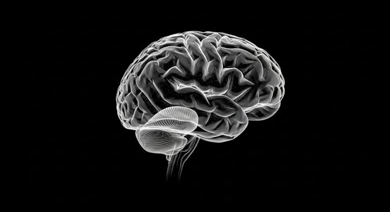 Imersão Tradutor de Almas + Ebook Funciona Mesmo? Vale a Pena ou é Só Mais um Evento Emocional?