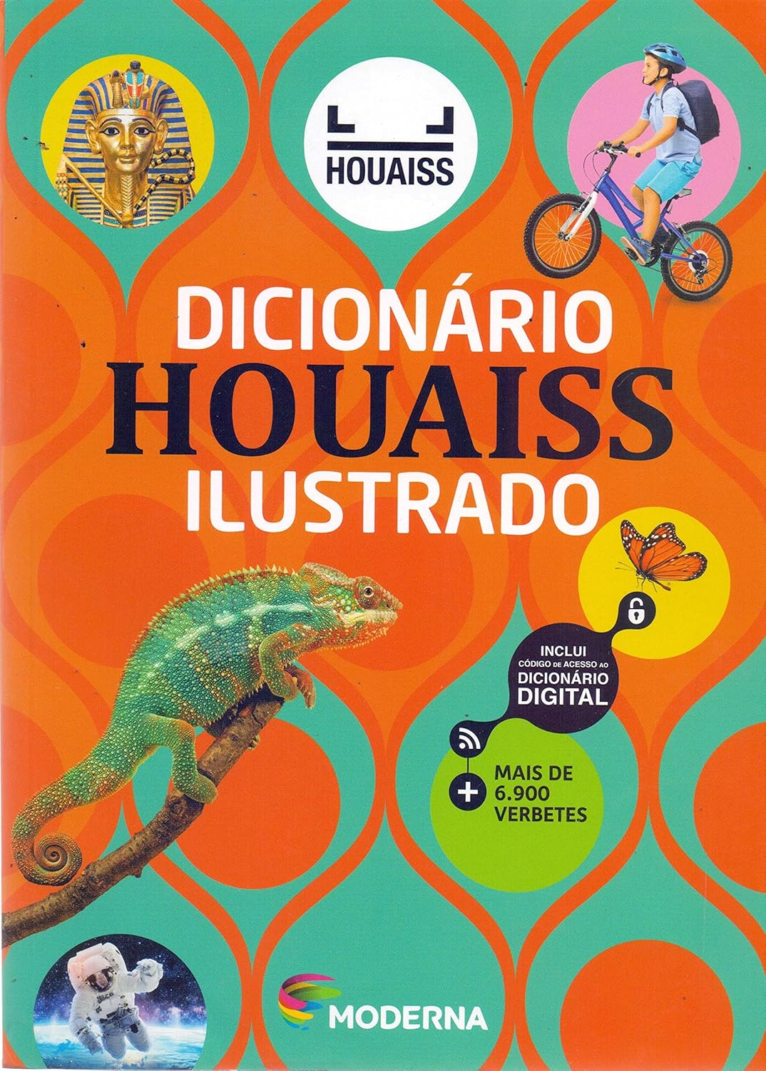 Dicionário Houaiss Ilustrado - Houaiss | Ebook Vocabulário Compras Digitais